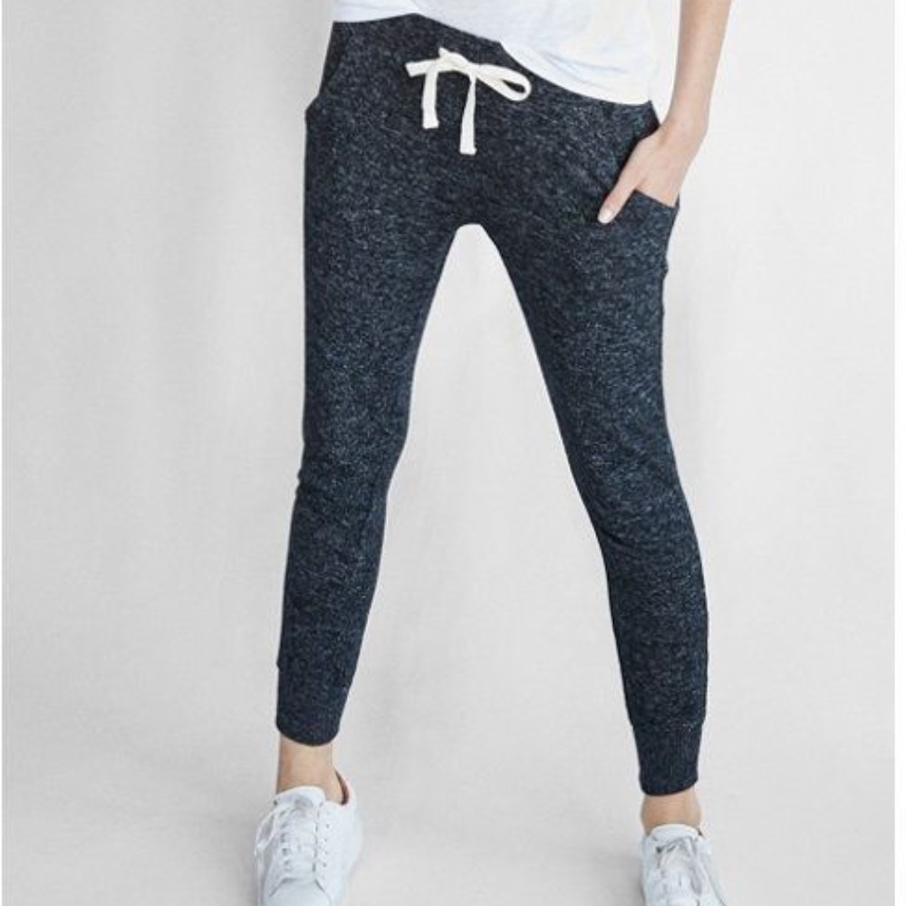 Express Gray Brushed Joggers